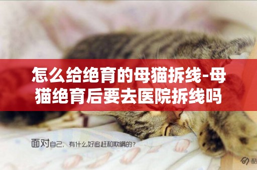怎么給絕育的母貓拆線-母貓絕育后要去醫院拆線嗎