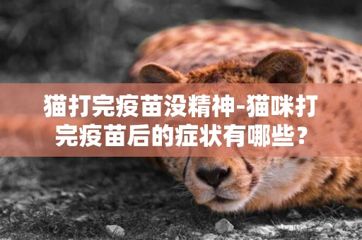 貓打完疫苗沒精神-貓咪打完疫苗后的癥狀有哪些？