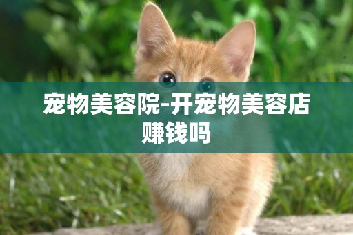 寵物美容院-開寵物美容店賺錢嗎