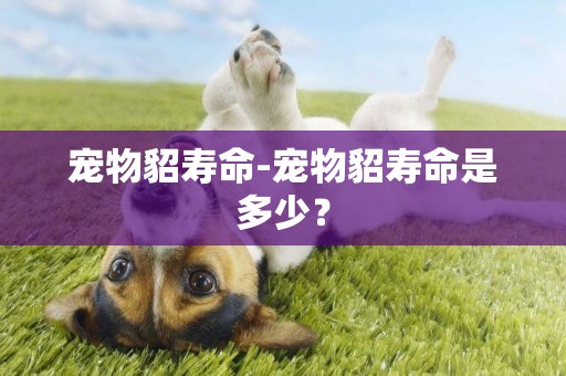 寵物貂壽命-寵物貂壽命是多少？