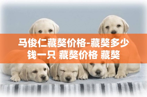 馬俊仁藏獒價格-藏獒多少錢一只 藏獒價格 藏獒