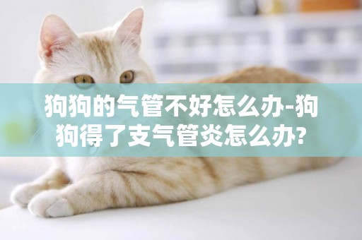 狗狗的氣管不好怎么辦-狗狗得了支氣管炎怎么辦?