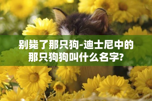 別斃了那只狗-迪士尼中的那只狗狗叫什么名字?