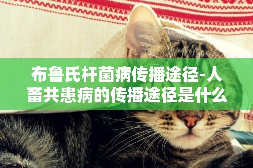 布魯氏桿菌病傳播途徑-人畜共患病的傳播途徑是什么？