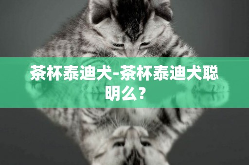 茶杯泰迪犬-茶杯泰迪犬聰明么？