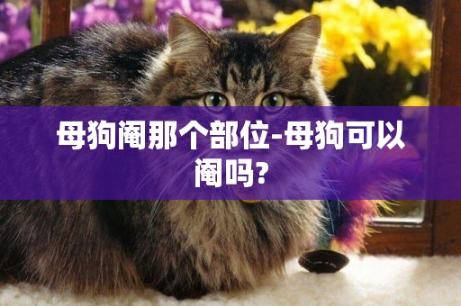 母狗閹那個部位-母狗可以閹嗎?