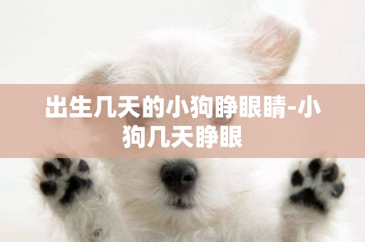 出生幾天的小狗睜眼睛-小狗幾天睜眼