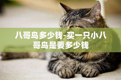八哥鳥多少錢-買一只小八哥鳥是要多少錢