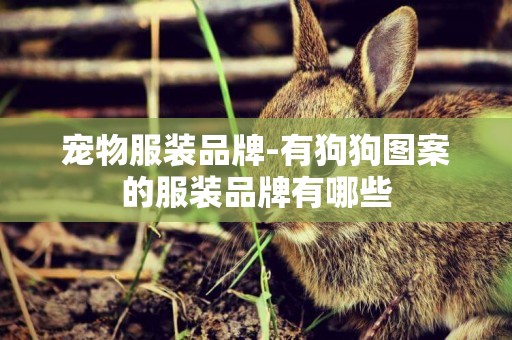 寵物服裝品牌-有狗狗圖案的服裝品牌有哪些