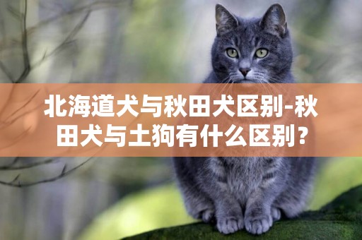 北海道犬與秋田犬區別-秋田犬與土狗有什么區別？