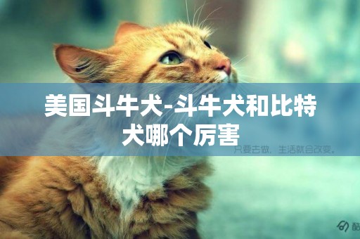 美國斗牛犬-斗牛犬和比特犬哪個厲害