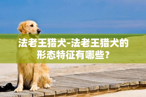 法老王獵犬-法老王獵犬的形態特征有哪些？