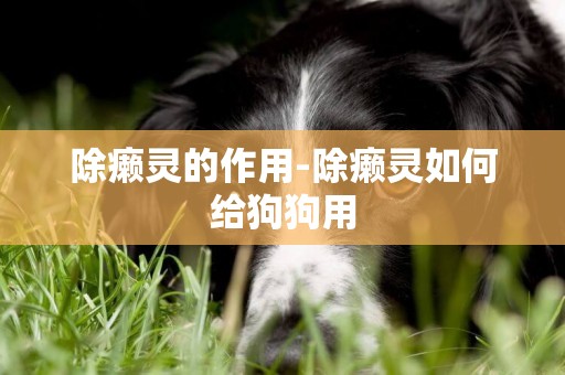 除癩靈的作用-除癩靈如何給狗狗用