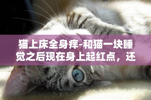 貓上床全身癢-和貓一塊睡覺之后現在身上起紅點，還特別癢