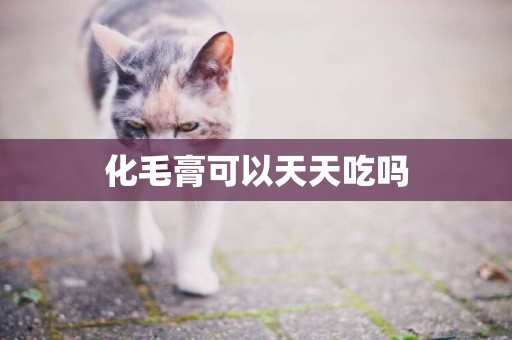 化毛膏可以天天吃嗎