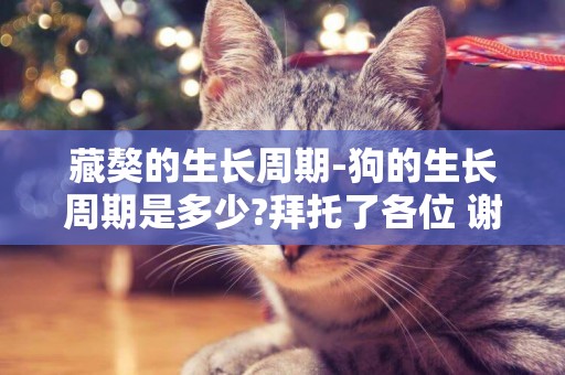 藏獒的生長周期-狗的生長周期是多少?拜托了各位 謝謝