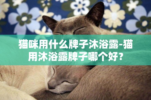 貓咪用什么牌子沐浴露-貓用沐浴露牌子哪個好？