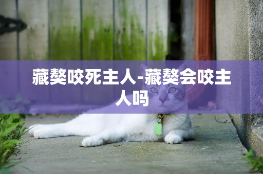藏獒咬死主人-藏獒會咬主人嗎
