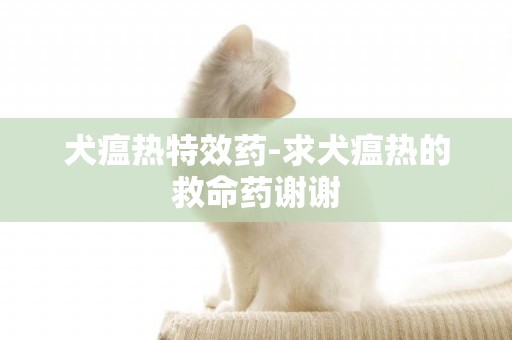 犬瘟熱特效藥-求犬瘟熱的救命藥謝謝
