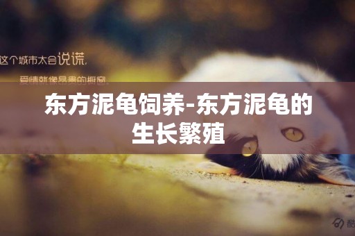 東方泥龜飼養-東方泥龜的生長繁殖