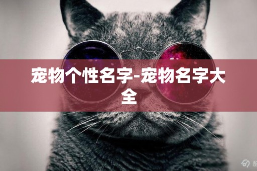 寵物個性名字-寵物名字大全