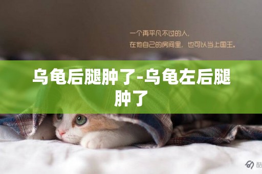 烏龜后腿腫了-烏龜左后腿腫了