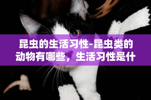昆蟲的生活習性-昆蟲類的動物有哪些，生活習性是什么