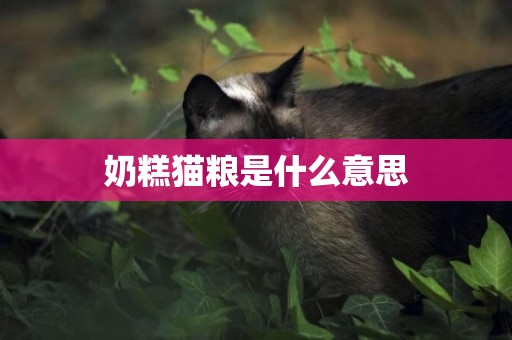 奶糕貓糧是什么意思