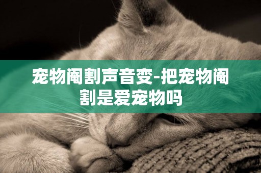 寵物閹割聲音變-把寵物閹割是愛寵物嗎