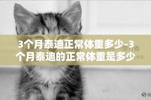 3個月泰迪正常體重多少-3個月泰迪的正常體重是多少