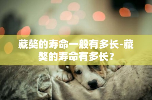 藏獒的壽命一般有多長-藏獒的壽命有多長？