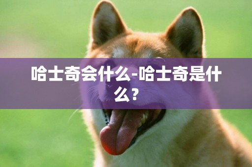 哈士奇會什么-哈士奇是什么？