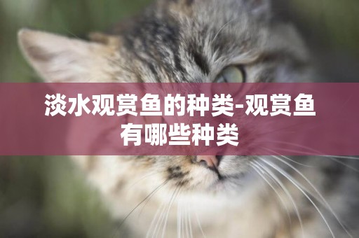 淡水觀賞魚的種類-觀賞魚有哪些種類