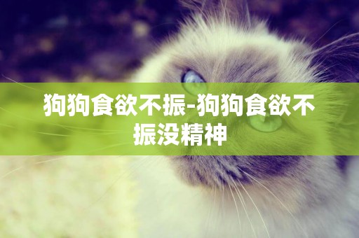 狗狗食欲不振-狗狗食欲不振沒精神