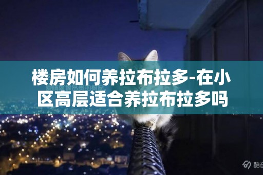 樓房如何養拉布拉多-在小區高層適合養拉布拉多嗎