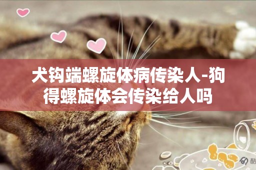 犬鉤端螺旋體病傳染人-狗得螺旋體會傳染給人嗎