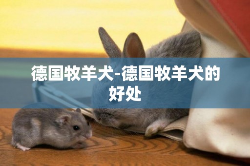 德國牧羊犬-德國牧羊犬的好處