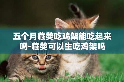 五個月藏獒吃雞架能吃起來嗎-藏獒可以生吃雞架嗎