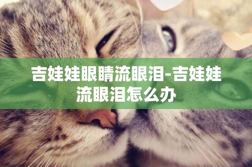 吉娃娃眼睛流眼淚-吉娃娃流眼淚怎么辦