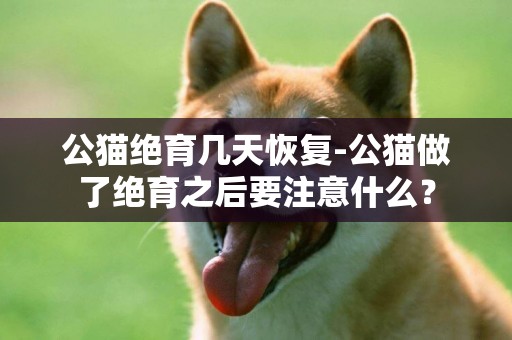 公貓絕育幾天恢復-公貓做了絕育之后要注意什么？