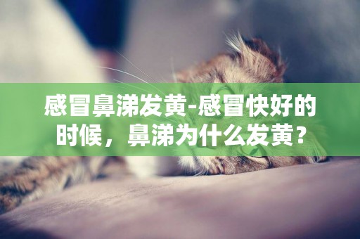 感冒鼻涕發黃-感冒快好的時候，鼻涕為什么發黃？
