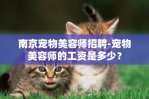 南京寵物美容師招聘-寵物美容師的工資是多少？