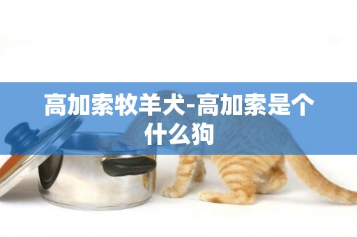 高加索牧羊犬-高加索是個什么狗