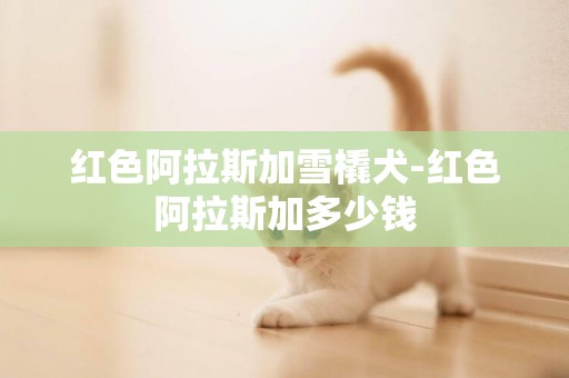 紅色阿拉斯加雪橇犬-紅色阿拉斯加多少錢