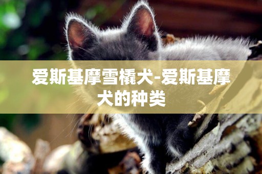 愛斯基摩雪橇犬-愛斯基摩犬的種類