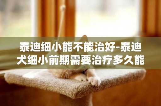泰迪細小能不能治好-泰迪犬細小前期需要治療多久能康復