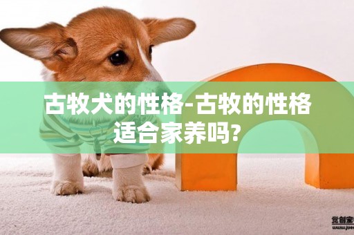 古牧犬的性格-古牧的性格適合家養嗎?