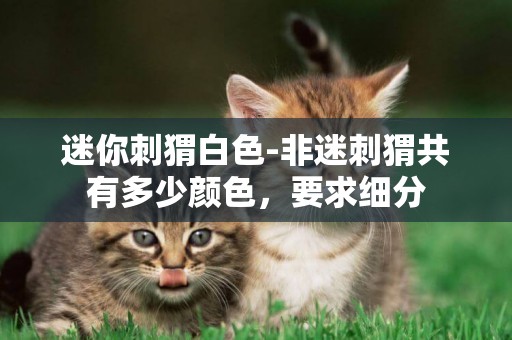 迷你刺猬白色-非迷刺猬共有多少顏色，要求細分