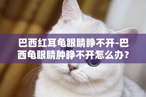 巴西紅耳龜眼睛睜不開-巴西龜眼睛腫睜不開怎么辦？