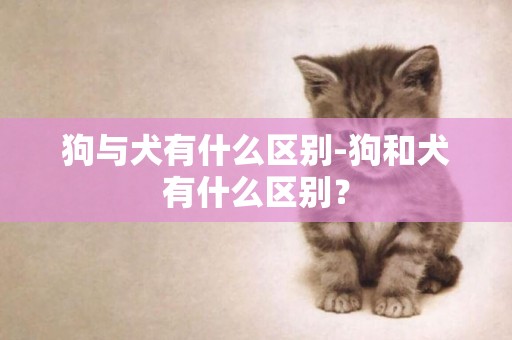 狗與犬有什么區別-狗和犬有什么區別？